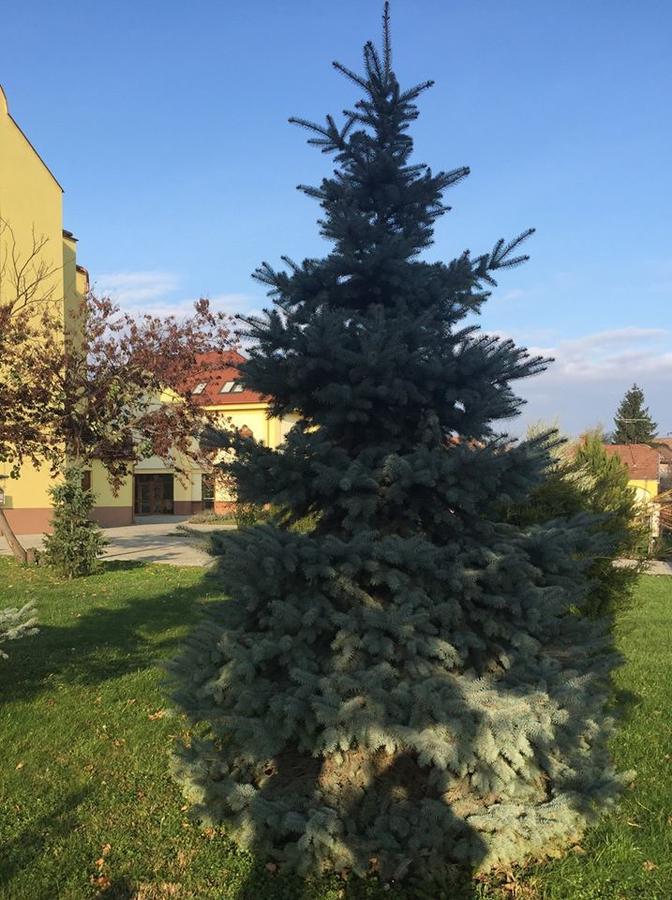 Mamre Szallo Hajduboszormeny Luaran gambar
